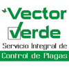 Vector Verde